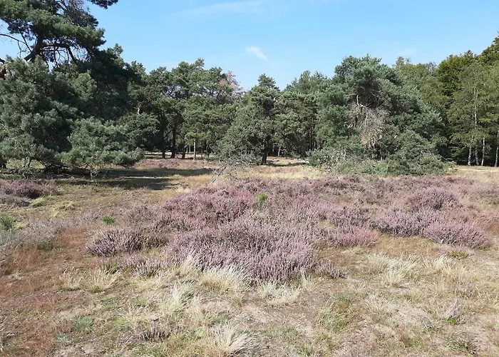't Gruene Huysje Otterlo
