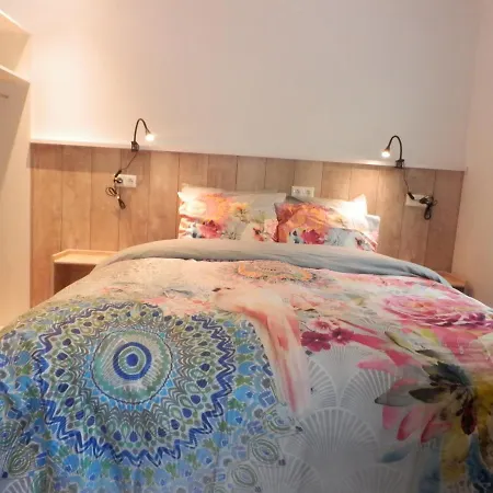 't Gruene Huysje شقة