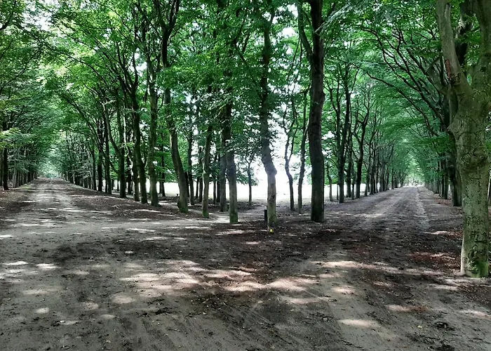 't Grüne Huysje Otterlo