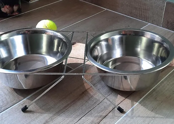 Apartment 't Grüne Huysje Otterlo