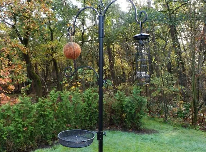 't Grüne Huysje Apartment *